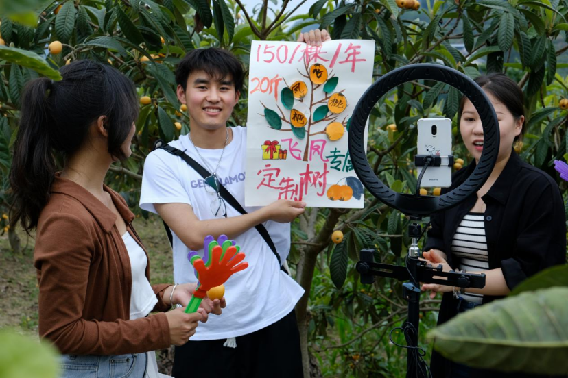 “三实三创到农村”：助力飞凤镇枇杷节